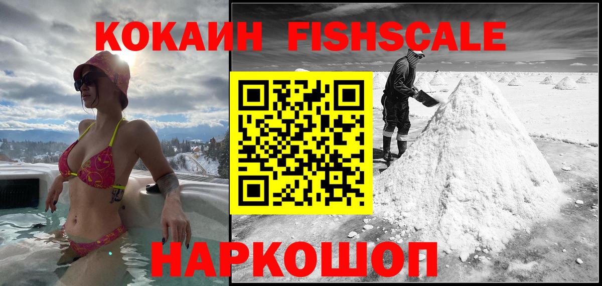 Cocaine Fish Scale  магазин продажи наркотиков  COCAIN 98%  Нижний Тагил  Вход с VPN 
