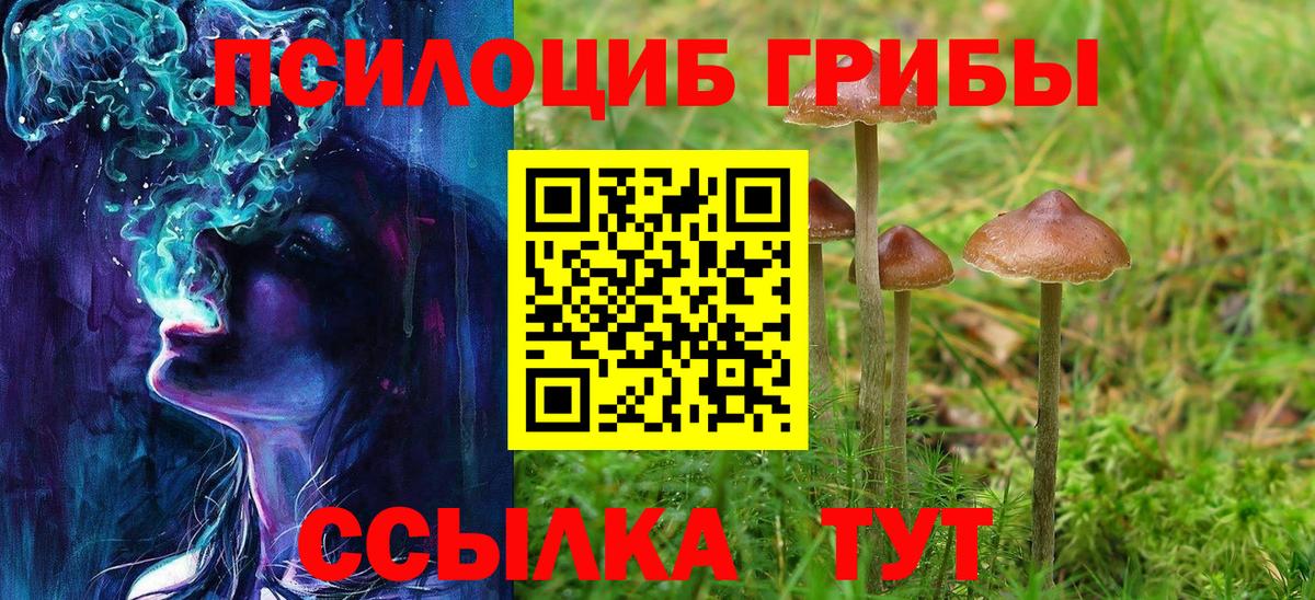 Галлюциногенные грибы Cubensis Нижний Тагил