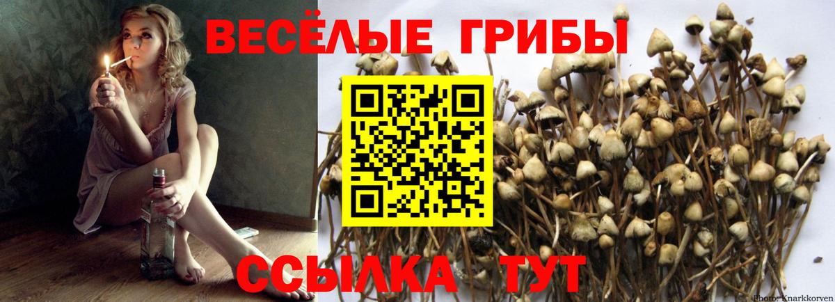 Галлюциногенные грибы Magic Shrooms  купить наркоту  Нижний Тагил  Вход с VPN  Галлюциногенные грибы Magic Shrooms 